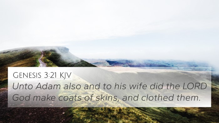 Genesis 3:21 Explained