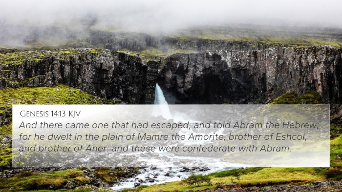 Genesis 14:13 KJV Bible Verse Image