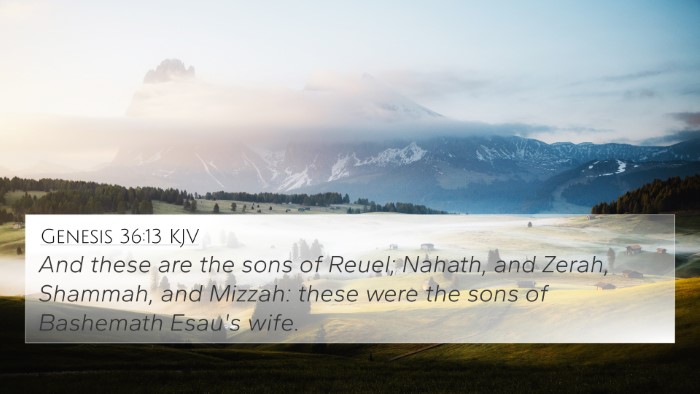 Genesis 36:13 Explained