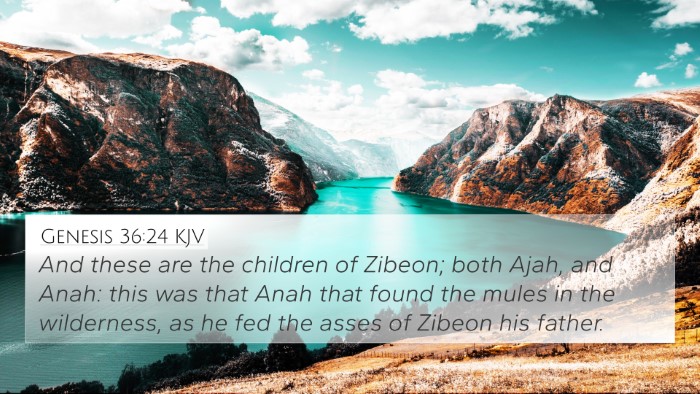 Genesis 36:24 Explained