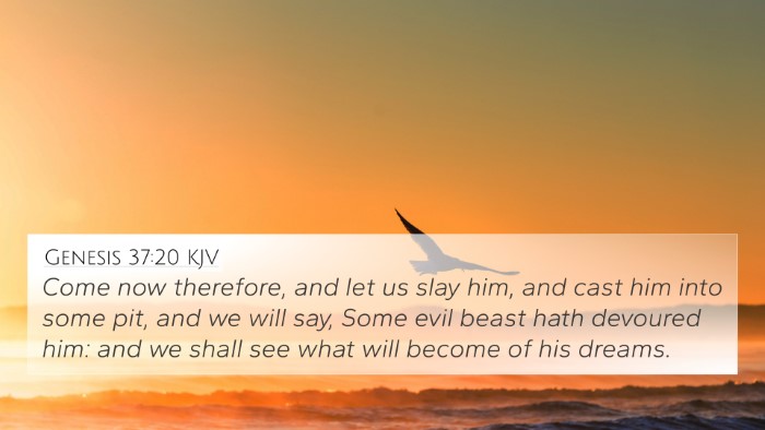 Genesis 37:20 Explained