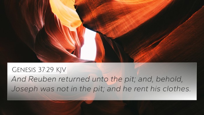 Genesis 37:29 Explained