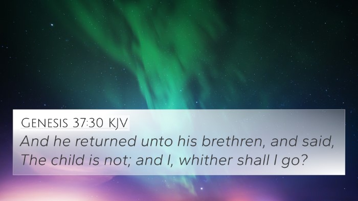 Genesis 37:30 Explained