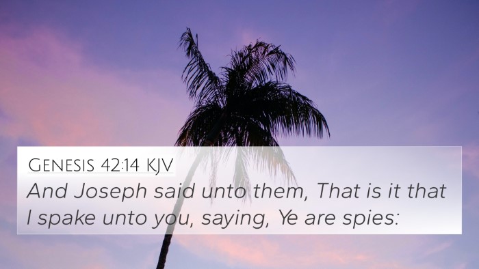 Genesis 42:14 Explained