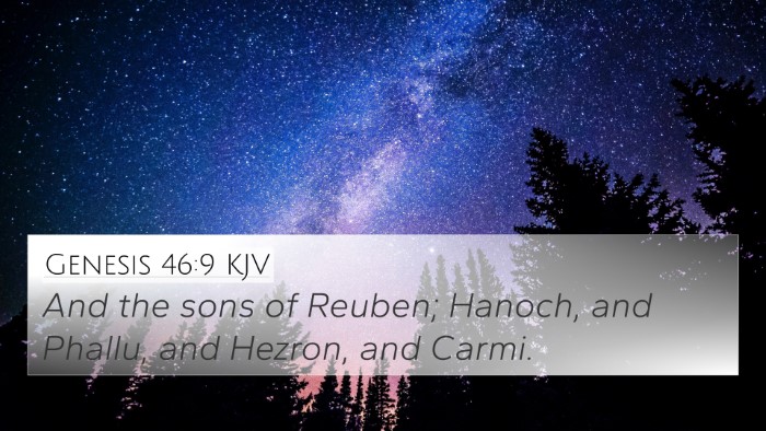 Genesis 46:9 Explained