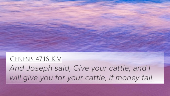 Genesis 47:16 Explained