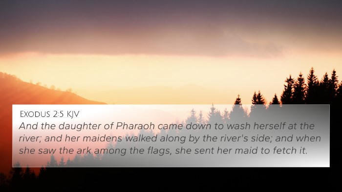 Exodus 2:5 KJV Bible Verse Image