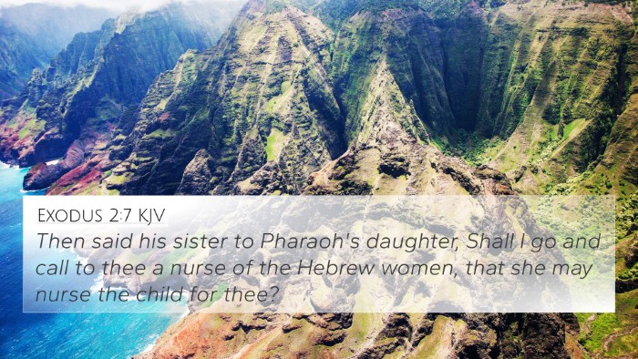 Exodus 2:7 KJV Bible Verse Image