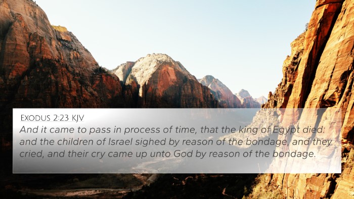 Exodus 2:23 KJV Bible Verse Image