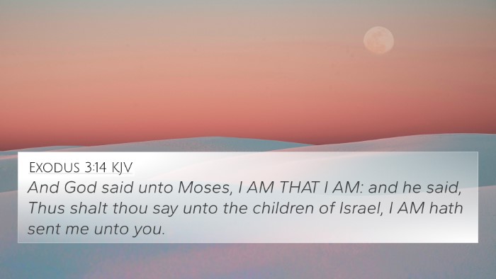 Exodus 3:14 KJV Bible Verse Image