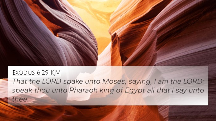Exodus 6:29 KJV Bible Verse Image