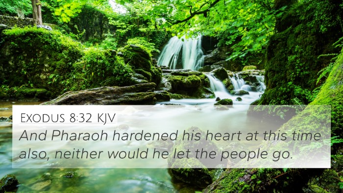 Exodus 8:32 Explained
