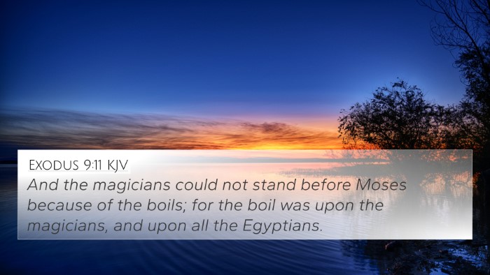 Exodus 9:11 Explained