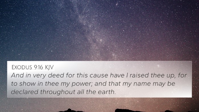 Exodus 9:16 KJV Bible Verse Image