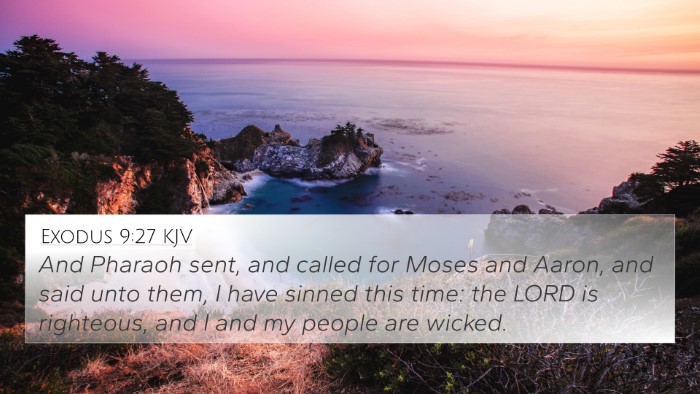 Exodus 9:27 KJV Bible Verse Image