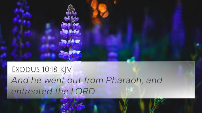 Exodus 10:18 KJV Bible Verse Image