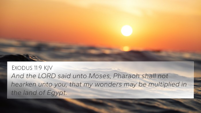 Exodus 11:9 Explained