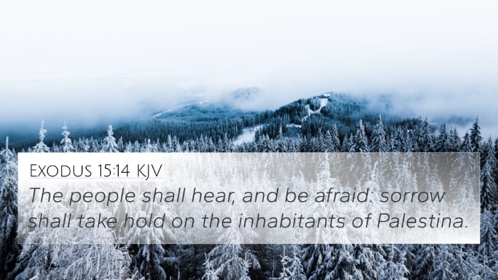 Exodus 15:14 KJV Bible Verse Image