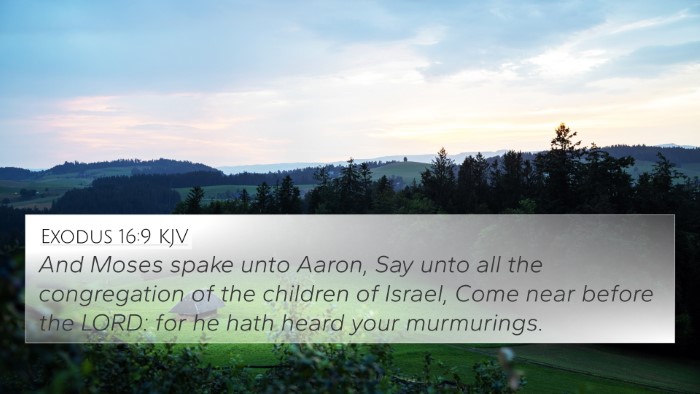 Exodus 16:9 Explained