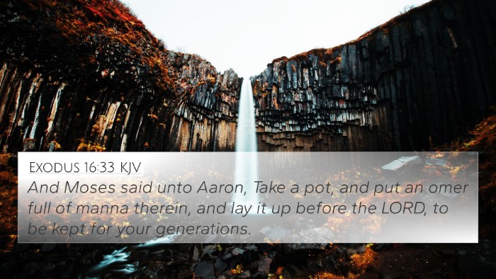 Exodus 16:33 Explained