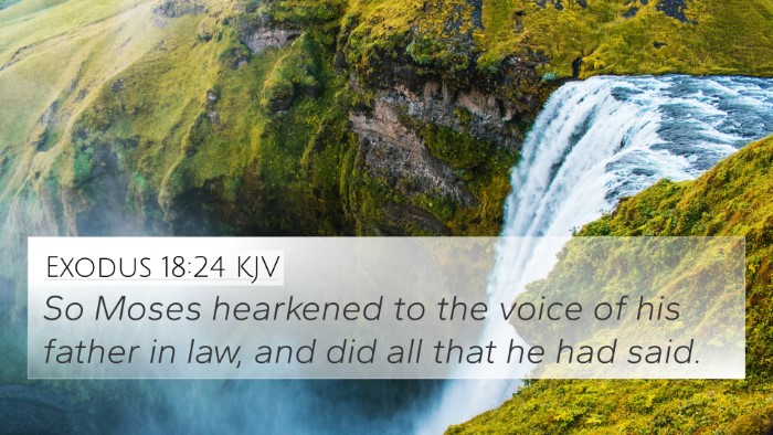 Exodus 18:24 Explained