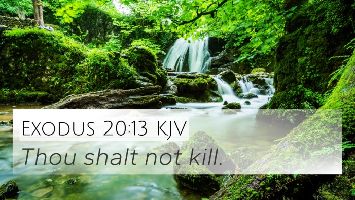 Exodus 20:13 KJV Bible Verse Image