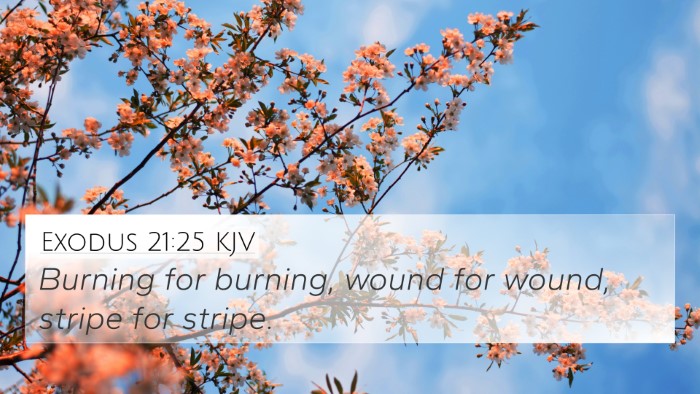 Exodus 21:25 KJV Bible Verse Image