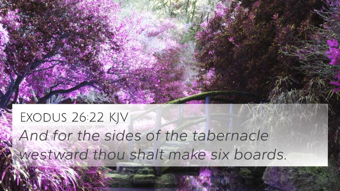Exodus 26:22 Explained