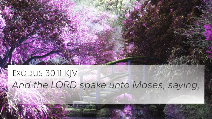 Exodus 30:11 Explained