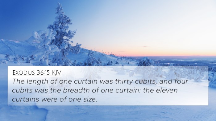 Exodus 36:15 Explained