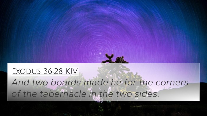 Exodus 36:28 Explained