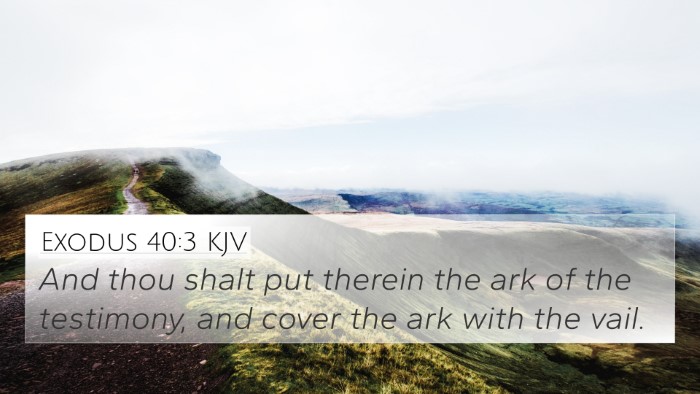 Exodus 40:3 KJV Bible Verse Image