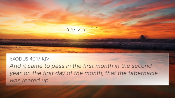 Exodus 40:17 KJV Bible Verse Image