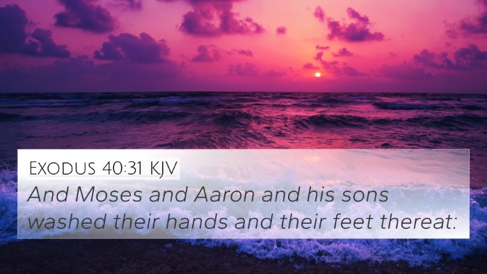 Exodus 40:31 Explained