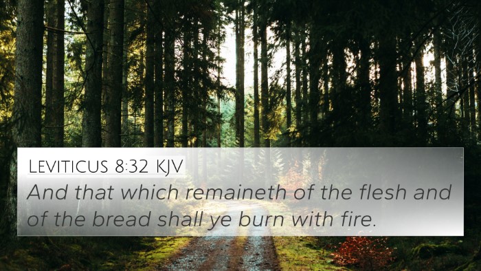 Leviticus 8:32 Explained