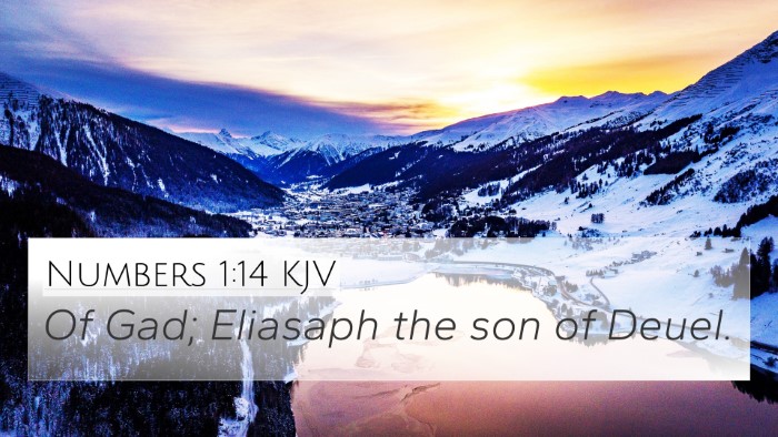Numbers 1:14 KJV Bible Verse Image