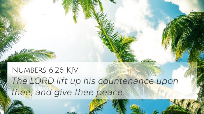 Numbers 6:26 KJV Bible Verse Image