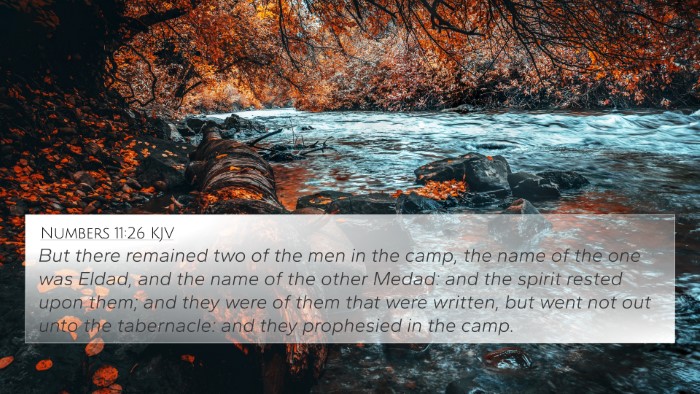 Numbers 11:26 KJV Bible Verse Image