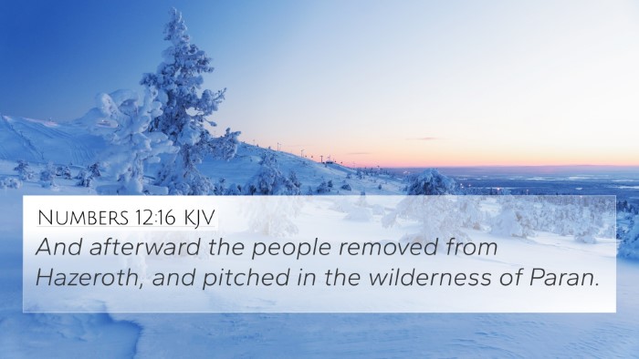Numbers 12:16 KJV Bible Verse Image
