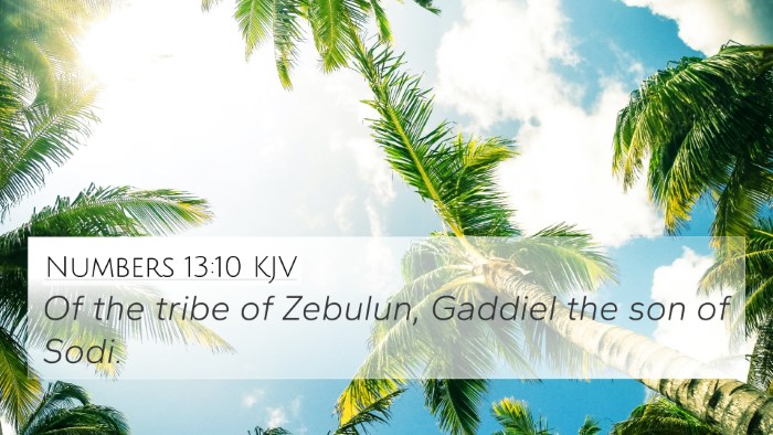 Numbers 13:10 Explained