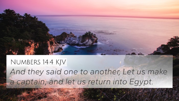 Numbers 14:4 KJV Bible Verse Image