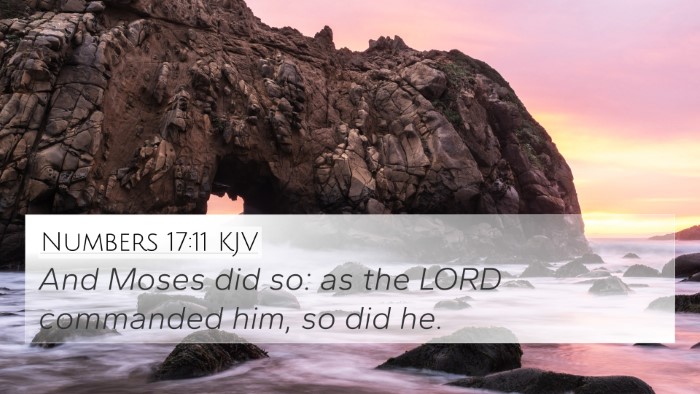 Numbers 17:11 KJV Bible Verse Image