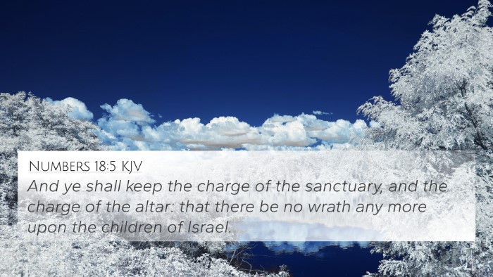 Numbers 18:5 KJV Bible Verse Image