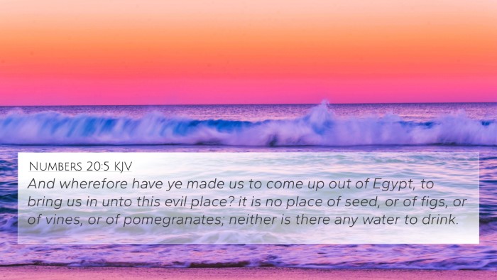 Numbers 20:5 KJV Bible Verse Image
