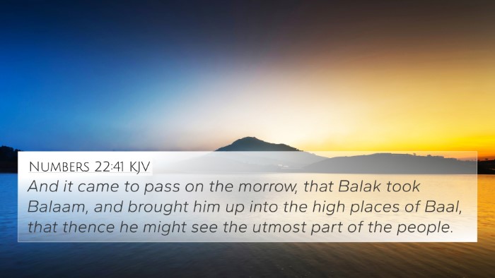Numbers 22:41 KJV Bible Verse Image