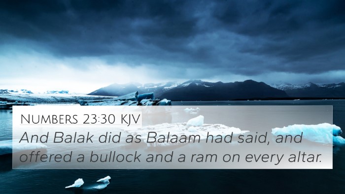 Numbers 23:30 KJV Bible Verse Image