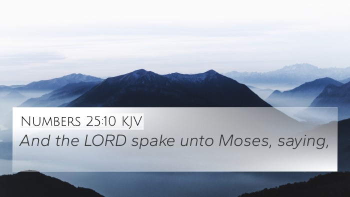 Numbers 25:10 KJV Bible Verse Image