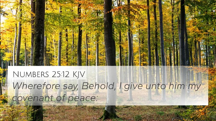 Numbers 25:12 Explained