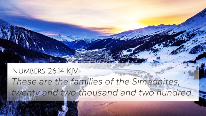 Numbers 26:14 KJV Bible Verse Image