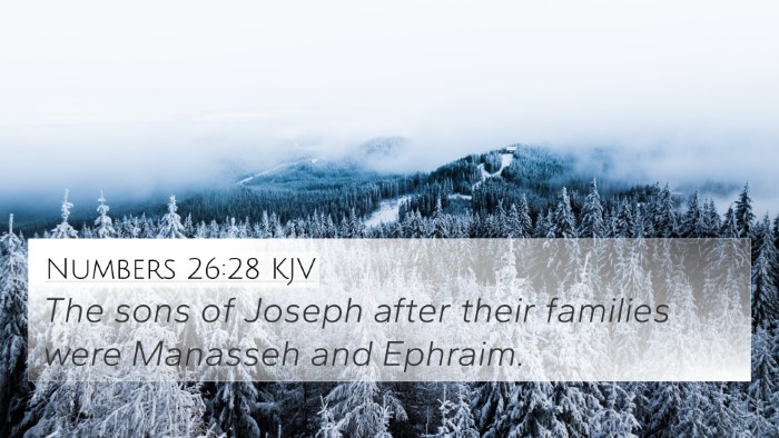 Numbers 26:28 KJV Bible Verse Image
